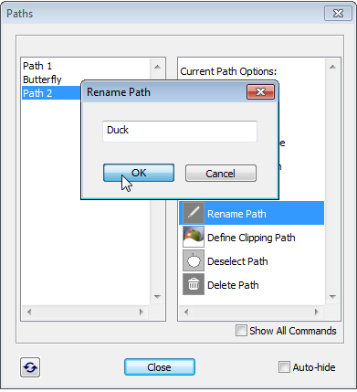Creating path from shape layer