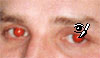 Click to see Color Replacement Tool movie