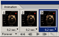 Animation palette in Photoshop CS2