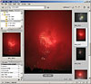 See Adobe Bridge screenshot