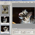 See Camera Raw plugin in Photoshop CS2
